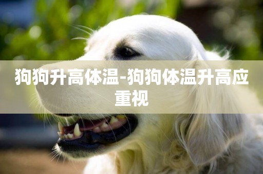 狗狗升高體溫-狗狗體溫升高應重視