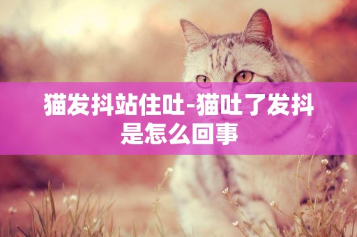 貓發抖站住吐-貓吐了發抖是怎么回事