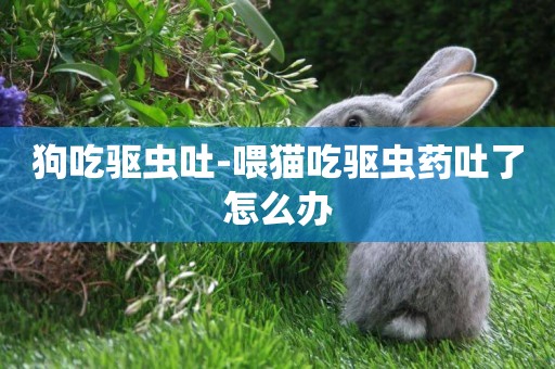 狗吃驅蟲吐-喂貓吃驅蟲藥吐了怎么辦