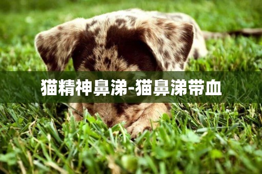 貓精神鼻涕-貓鼻涕帶血