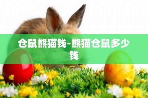 倉鼠熊貓錢-熊貓倉鼠多少錢