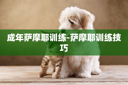 成年薩摩耶訓練-薩摩耶訓練技巧