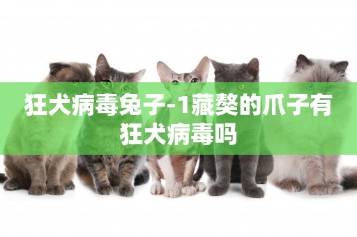 狂犬病毒兔子-1藏獒的爪子有狂犬病毒嗎