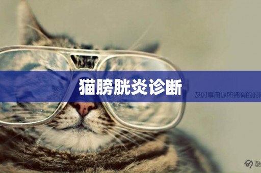 貓膀胱炎診斷