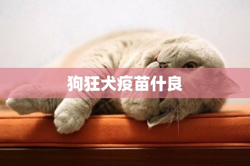 狗狂犬疫苗什良