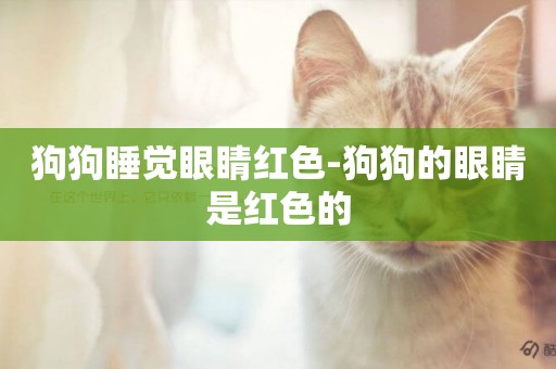 狗狗睡覺眼睛紅色-狗狗的眼睛是紅色的