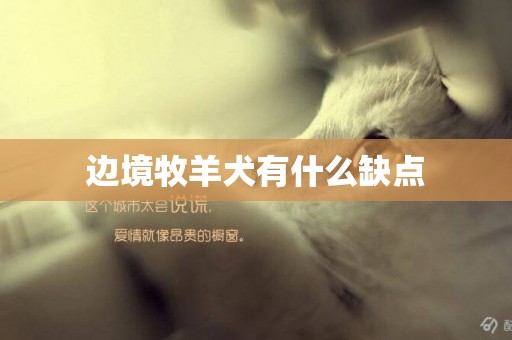 邊境牧羊犬有什么缺點