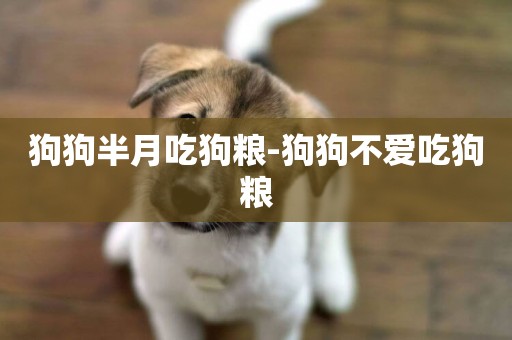 狗狗半月吃狗糧-狗狗不愛吃狗糧