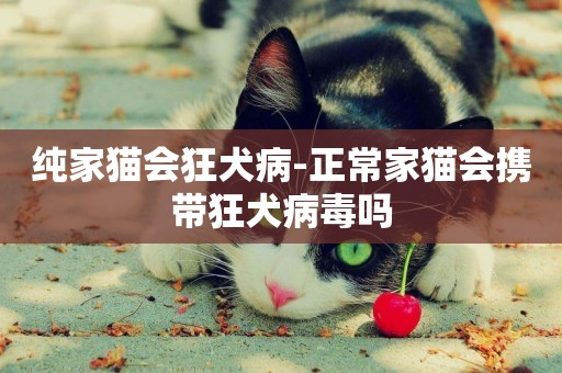 純家貓會狂犬病-正常家貓會攜帶狂犬病毒嗎