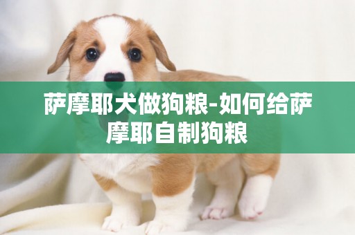 薩摩耶犬做狗糧-如何給薩摩耶自制狗糧