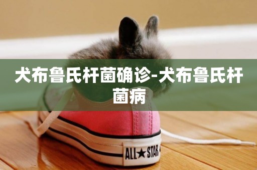 犬布魯氏桿菌確診-犬布魯氏桿菌病