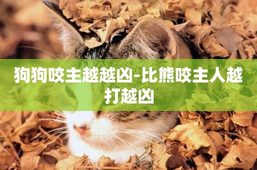 狗狗咬主越越兇-比熊咬主人越打越兇