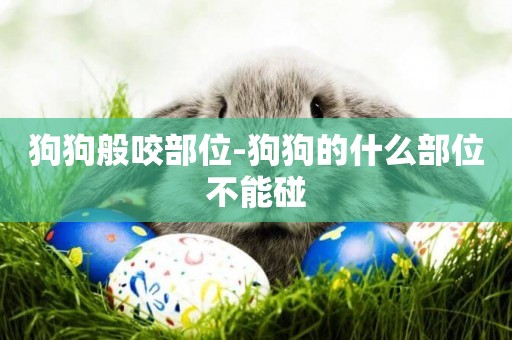 狗狗般咬部位-狗狗的什么部位不能碰
