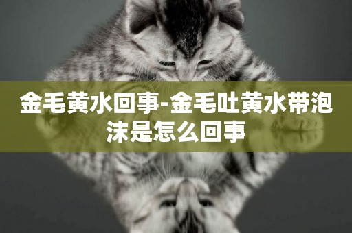 金毛黃水回事-金毛吐黃水帶泡沫是怎么回事