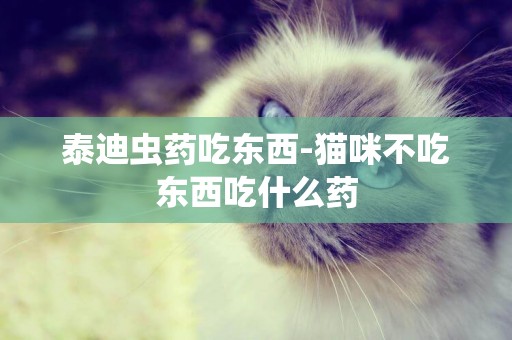 泰迪蟲藥吃東西-貓咪不吃東西吃什么藥