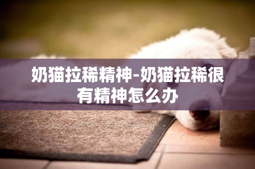 奶貓拉稀精神-奶貓拉稀很有精神怎么辦