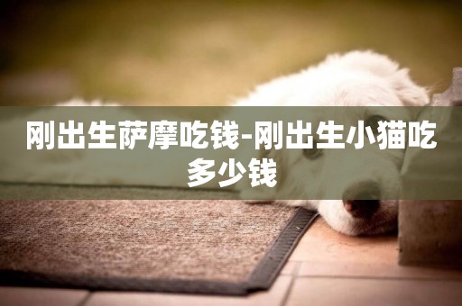 剛出生薩摩吃錢-剛出生小貓吃多少錢