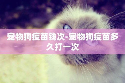 寵物狗疫苗錢次-寵物狗疫苗多久打一次