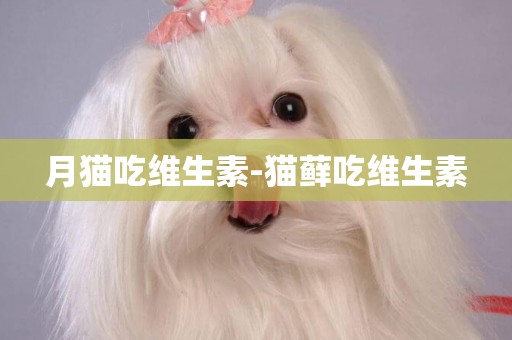 月貓吃維生素-貓蘚吃維生素