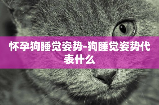 懷孕狗睡覺姿勢-狗睡覺姿勢代表什么