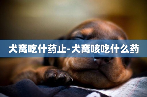 犬窩吃什藥止-犬窩咳吃什么藥