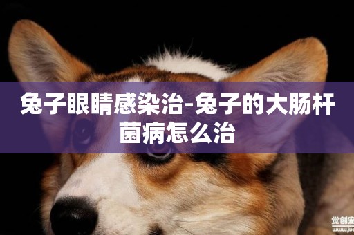 兔子眼睛感染治-兔子的大腸桿菌病怎么治