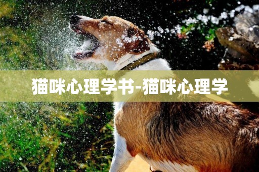 貓咪心理學書-貓咪心理學