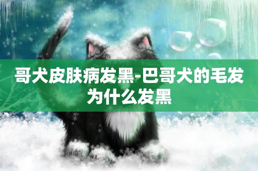 哥犬皮膚病發黑-巴哥犬的毛發為什么發黑