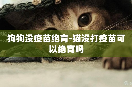 狗狗沒疫苗絕育-貓沒打疫苗可以絕育嗎