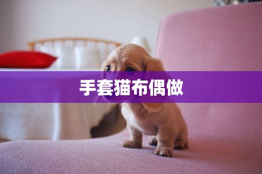 手套貓布偶做