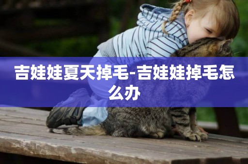 吉娃娃夏天掉毛-吉娃娃掉毛怎么辦