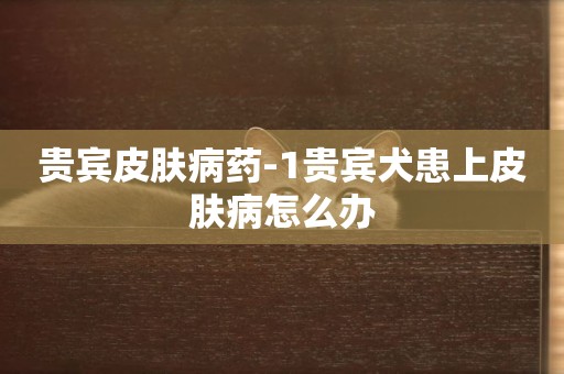 貴賓皮膚病藥-1貴賓犬患上皮膚病怎么辦