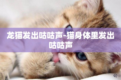 龍貓發出咕咕聲-貓身體里發出咕咕聲