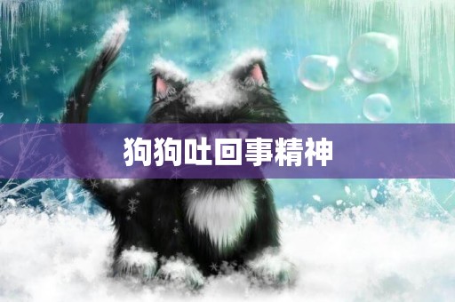 狗狗吐回事精神