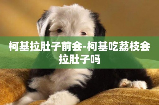 柯基拉肚子前會-柯基吃荔枝會拉肚子嗎