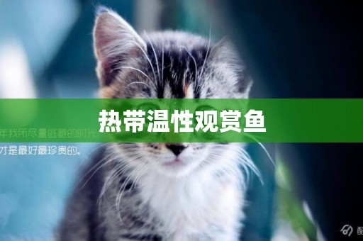 熱帶溫性觀賞魚