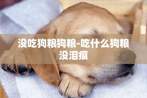 沒吃狗糧狗糧-吃什么狗糧沒淚痕