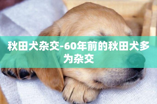 秋田犬雜交-60年前的秋田犬多為雜交