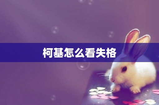 柯基怎么看失格