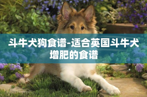 斗牛犬狗食譜-適合英國斗牛犬增肥的食譜