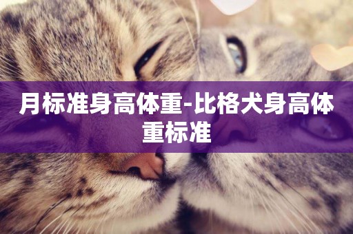 月標準身高體重-比格犬身高體重標準