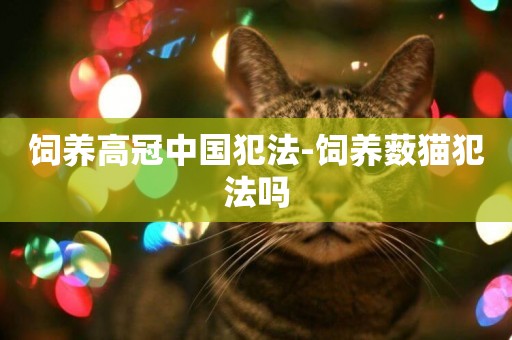 飼養高冠中國犯法-飼養藪貓犯法嗎