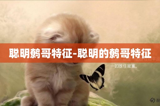 聰明鷯哥特征-聰明的鷯哥特征