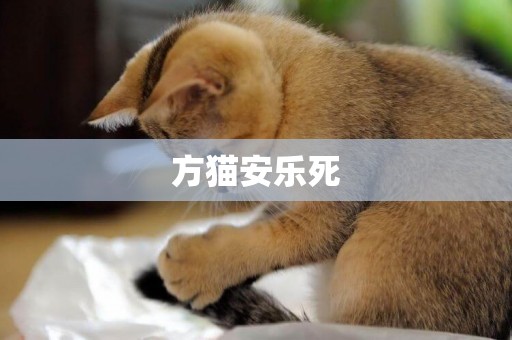 方貓安樂死
