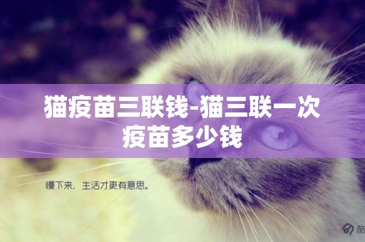 貓疫苗三聯錢-貓三聯一次疫苗多少錢