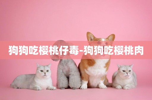 狗狗吃櫻桃仔毒-狗狗吃櫻桃肉