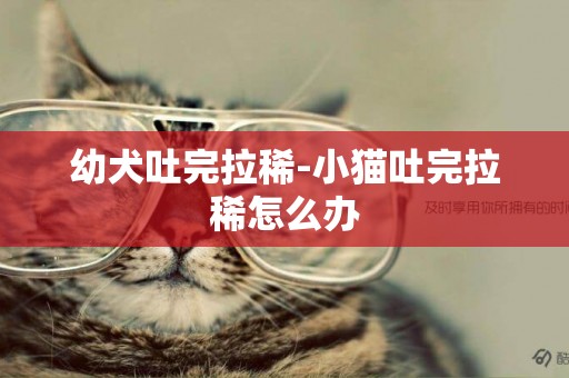 幼犬吐完拉稀-小貓吐完拉稀怎么辦