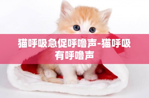 貓呼吸急促呼嚕聲-貓呼吸有呼嚕聲