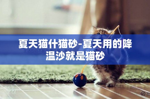 夏天貓什貓砂-夏天用的降溫沙就是貓砂