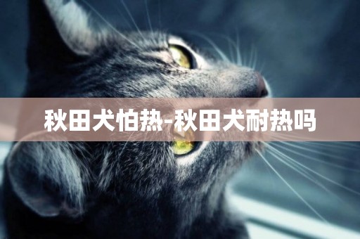秋田犬怕熱-秋田犬耐熱嗎